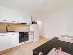 Prodej bytu 1+1, Ostrava - Mariánské Hory, Cottonové, 37 m2