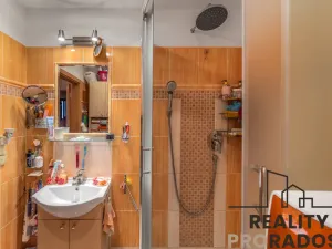 Prodej bytu 3+kk, Praha, Štichova, 58 m2