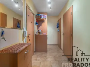 Prodej bytu 3+kk, Praha, Štichova, 58 m2