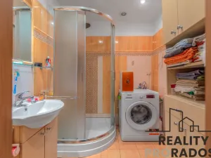 Prodej bytu 3+kk, Praha, Štichova, 56 m2