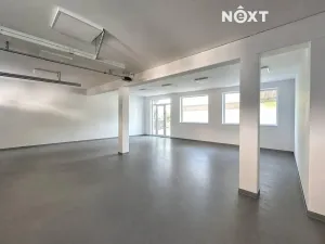 Pronájem skladu, České Budějovice, Novohradská, 445 m2