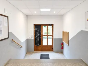 Prodej bytu 2+1, Ústí nad Labem - Střekov, Třebízského, 59 m2