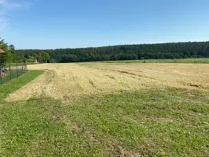 Prodej pozemku pro bydlení, Zbizuby, 8669 m2