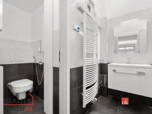 Prodej bytu 2+1, Praha - Bubeneč, V. P. Čkalova, 51 m2