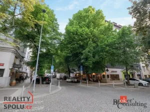 Prodej bytu 2+1, Praha - Bubeneč, V. P. Čkalova, 51 m2