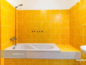 Prodej bytu 3+kk, Plzeň - Východní Předměstí, Květná, 69 m2