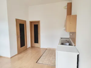 Pronájem bytu 1+kk, České Budějovice - České Budějovice 3, Riegrova, 25 m2
