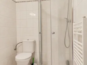 Pronájem bytu 1+kk, České Budějovice - České Budějovice 3, Riegrova, 25 m2