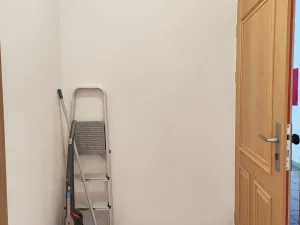 Pronájem bytu 1+kk, České Budějovice - České Budějovice 3, Riegrova, 25 m2
