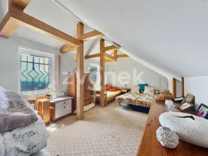 Prodej chaty, Bystřice pod Lopeníkem, 167 m2