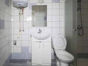 Prodej ubytování, Jemnice, Tyršova, 224 m2