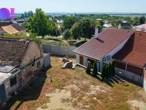 Prodej vinného sklepa, Dyjákovice, 180 m2