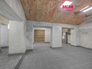 Prodej komerční nemovitosti, Praha, Seifertova, 110 m2