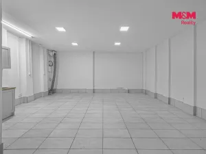 Prodej komerční nemovitosti, Praha, Vlkova, 48 m2