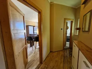 Pronájem bytu 1+1, Ústí nad Labem - Klíše, Ostrčilova, 41 m2
