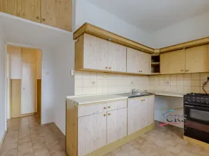 Prodej bytu 2+1, Praha - Žižkov, Na Balkáně, 49 m2