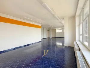 Pronájem obchodního prostoru, Olomouc, Holická, 144 m2
