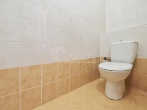 Prodej vícegeneračního domu, Postoloprty, Masarykova, 287 m2