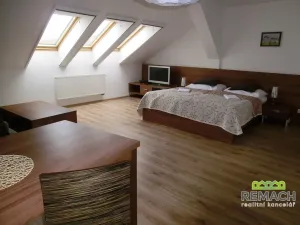 Pronájem ubytování, Blatnička, 830 m2