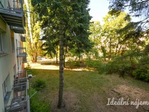 Pronájem bytu 2+1, Brno, Jílová, 54 m2