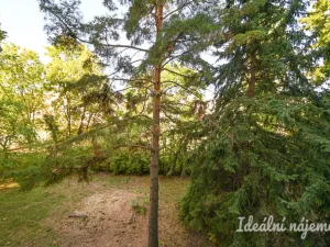 Pronájem bytu 2+1, Brno, Jílová, 54 m2