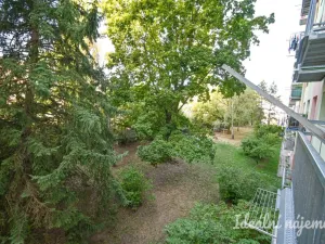 Pronájem bytu 2+1, Brno, Jílová, 54 m2