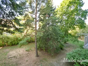 Pronájem bytu 2+1, Brno, Jílová, 54 m2