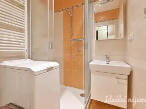 Pronájem bytu 2+1, Brno, Jílová, 54 m2
