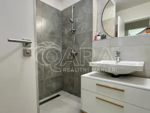 Pronájem bytu 2+kk, České Budějovice - České Budějovice 3, Nová, 73 m2