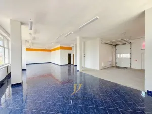 Pronájem obchodního prostoru, Olomouc, Holická, 274 m2