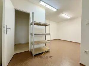 Pronájem obchodního prostoru, Olomouc, Holická, 274 m2