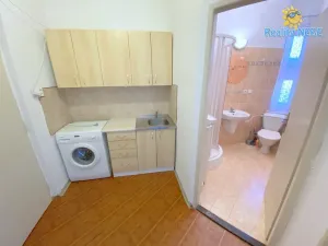 Pronájem bytu 1+kk, Praha - Nusle, Na Veselí, 30 m2