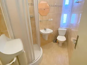 Pronájem bytu 1+kk, Praha - Nusle, Na Veselí, 30 m2