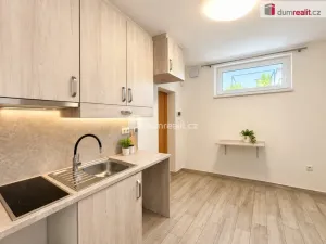Pronájem bytu 1+1, Mikulov, Zámecká, 30 m2