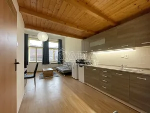 Pronájem bytu 1+kk, Praha - Smíchov, Lidická, 30 m2