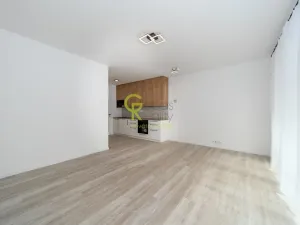 Pronájem bytu 1+kk, Praha - Kbely, Mladoboleslavská, 40 m2