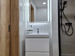 Prodej bytu 2+kk, Teplice, Unčínská, 31 m2