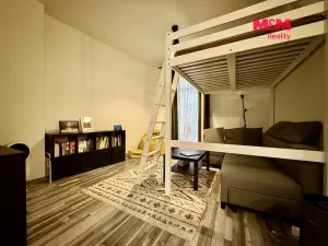 Pronájem bytu 1+kk, Ostrava - Moravská Ostrava, Zámecká, 44 m2
