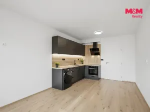 Pronájem bytu 1+kk, Nové Strašecí, Viktora Olivy, 27 m2
