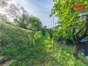 Prodej chaty, Kly - Dolní Vinice, 38 m2