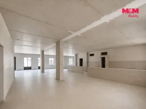 Pronájem restaurace, Domažlice, Kostelní, 244 m2