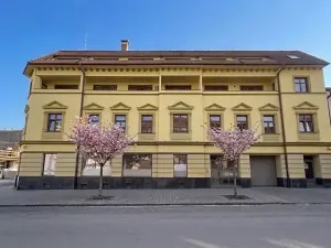 Prodej bytu 1+kk, Brno, Rotalova, 29 m2