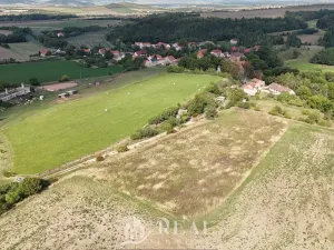Prodej pozemku pro bydlení, Brloh, 1196 m2