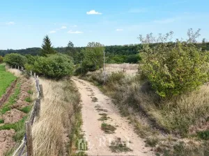 Prodej pozemku pro bydlení, Brloh, 1196 m2