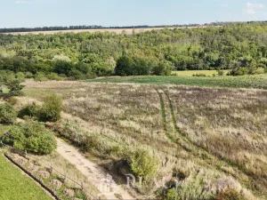 Prodej pozemku pro bydlení, Brloh, 1196 m2