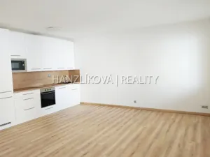 Pronájem bytu 1+kk, České Budějovice - České Budějovice 2, České Vrbné, 40 m2