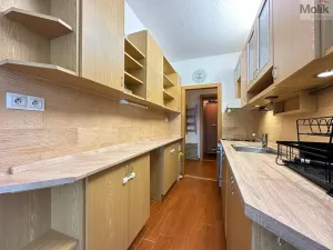 Pronájem bytu 2+1, Teplice - Trnovany, Gagarinova, 56 m2