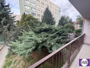 Prodej bytu 3+1, Benešov, Vlašimská, 75 m2