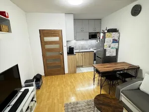 Pronájem bytu 1+kk, Olomouc, Synkova, 34 m2