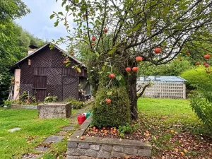 Prodej chaty, Horní Stropnice, 20 m2